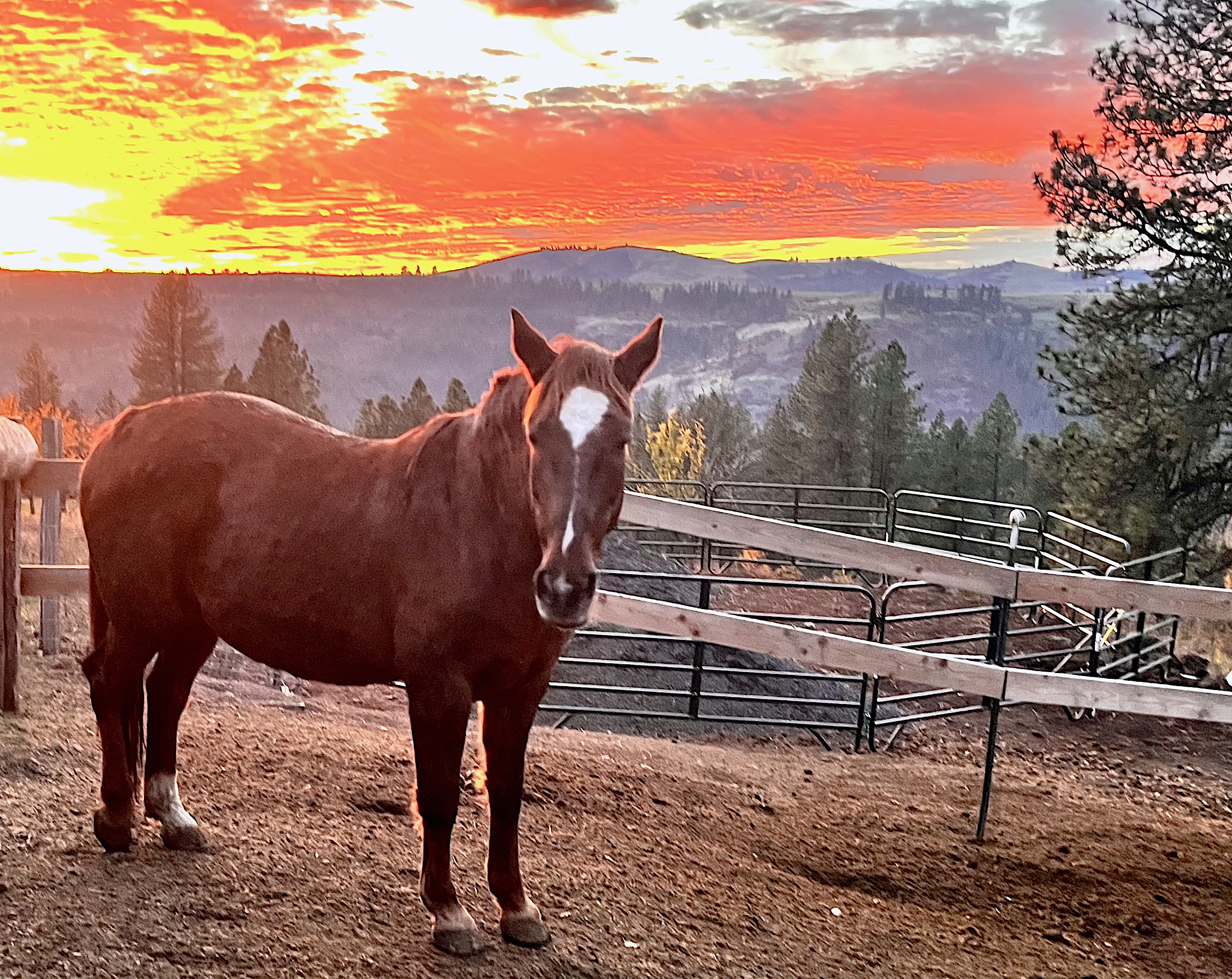 RELEASE AND CREATE: YEAR END INTENSIVE